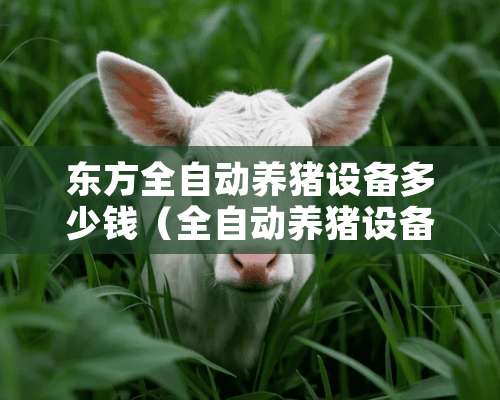 东方全自动养猪设备多少钱（全自动养猪设备价格）