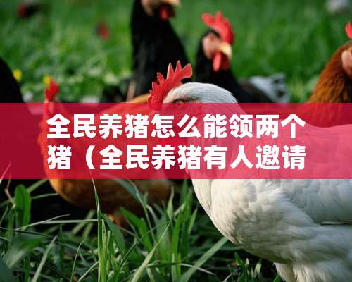 全民养猪怎么能领两个猪（全民养猪有人邀请人赚到钱吗）