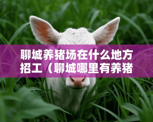 聊城养猪场在什么地方招工（聊城哪里有养猪场）