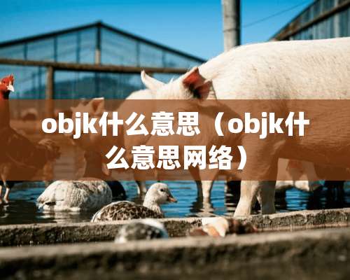 objk什么意思（objk什么意思网络）