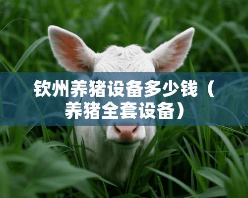 钦州养猪设备多少钱（养猪全套设备）