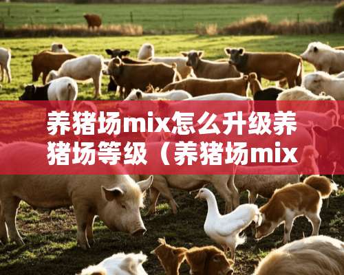 养猪场mix怎么升级养猪场等级（养猪场mix新手攻略）