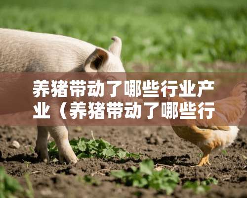 养猪带动了哪些行业产业（养猪带动了哪些行业产业增长）