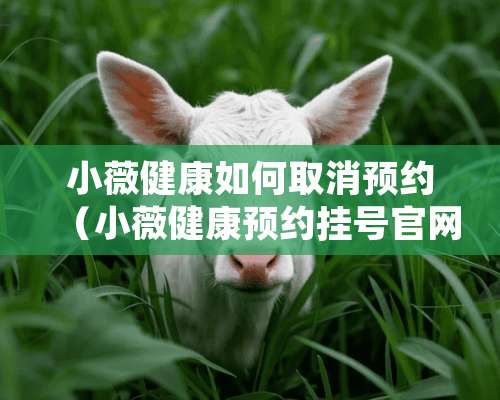 小薇健康如何取消预约（小薇健康预约挂号官网何时可以挂号）