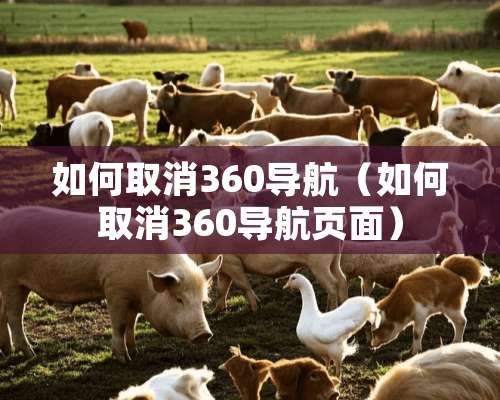 如何取消360导航（如何取消360导航页面）