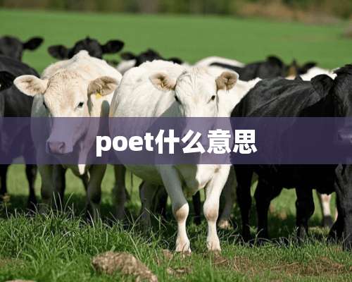 poet什么意思