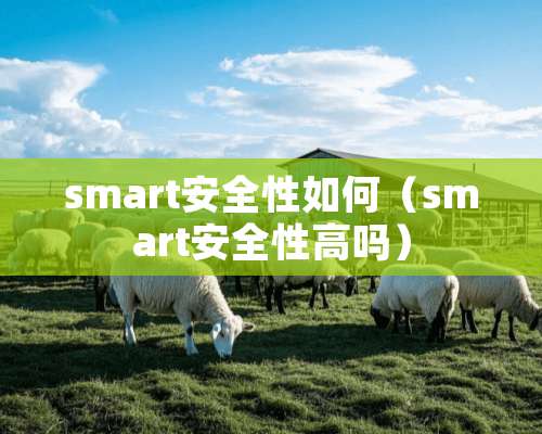 smart安全性如何（smart安全性高吗）