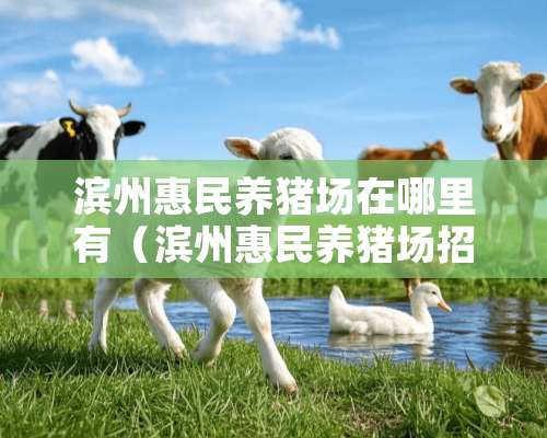 滨州惠民养猪场在哪里有（滨州惠民养猪场招工人吗）