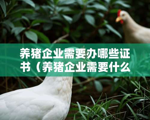 养猪企业需要办哪些证书（养猪企业需要什么证件）