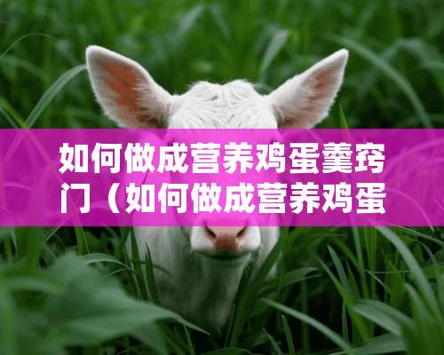 如何做成营养鸡蛋羹窍门（如何做成营养鸡蛋羹窍门呢）