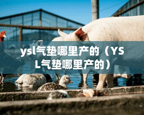 ysl气垫哪里产的（YSL气垫哪里产的）