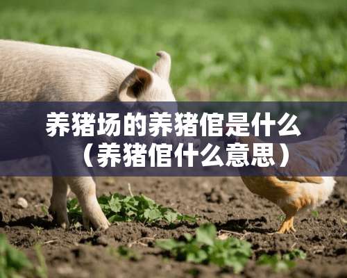 养猪场的养猪倌是什么（养猪倌什么意思）