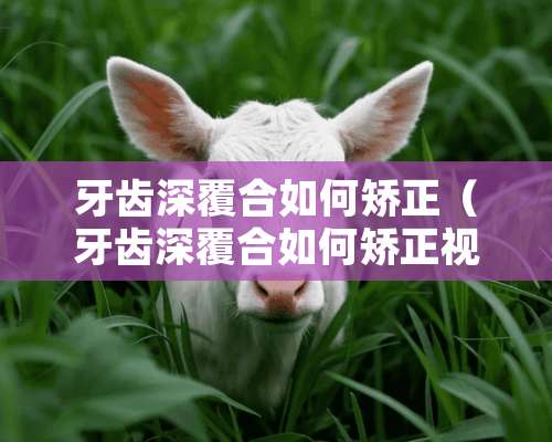 牙齿深覆合如何矫正（牙齿深覆合如何矫正视频）