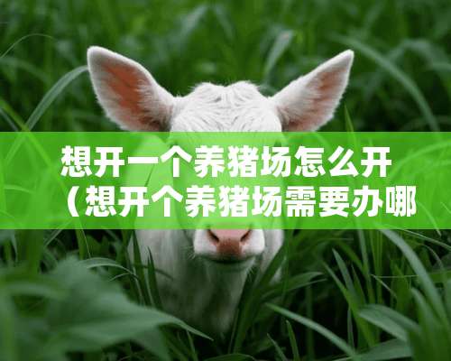 想开一个养猪场怎么开（想开个养猪场需要办哪方面的手续?）