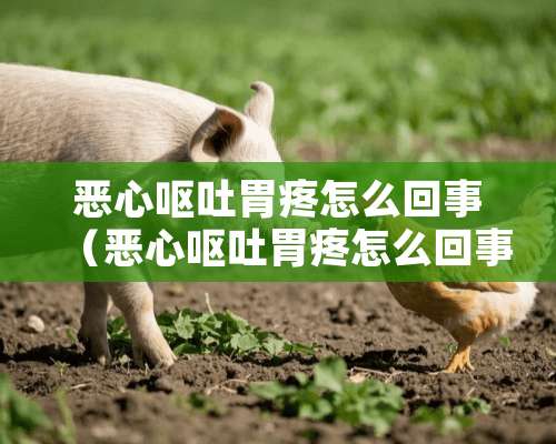 恶心呕吐胃疼怎么回事（恶心呕吐胃疼怎么回事吃什么药）