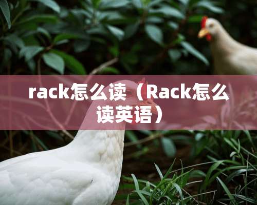 rack怎么读（Rack怎么读英语）