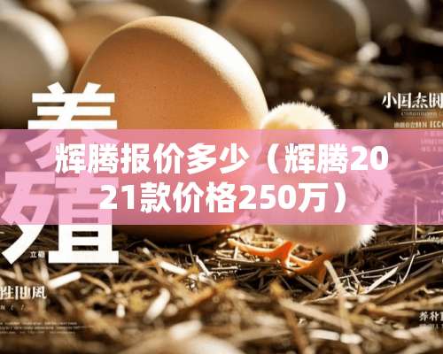 辉腾报价多少（辉腾2021款价格250万）