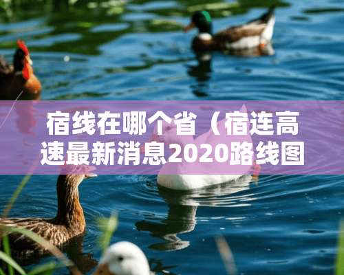 宿线在哪个省（宿连高速最新消息2020路线图）