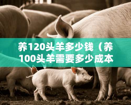 养120头羊多少钱（养100头羊需要多少成本）