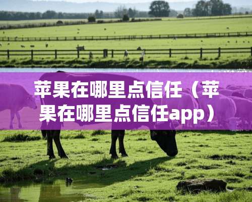 苹果在哪里点信任（苹果在哪里点信任app）