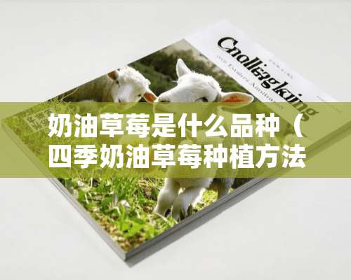 奶油草莓是什么品种（四季奶油草莓种植方法）