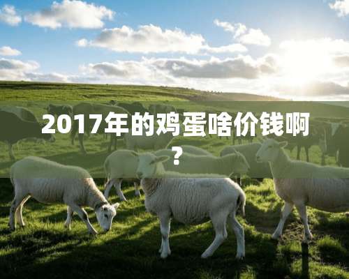 2017年的鸡蛋啥价钱啊？