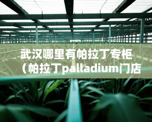 武汉哪里有帕拉丁专柜（帕拉丁palladium门店）