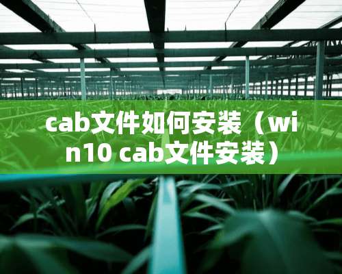 cab文件如何安装（win10 cab文件安装）