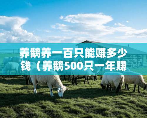 养鹅养一百只能赚多少钱（养鹅500只一年赚多少钱）