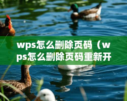 wps怎么删除页码（wps怎么删除页码重新开始）