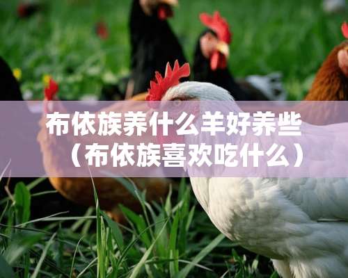 布依族养什么羊好养些（布依族喜欢吃什么）