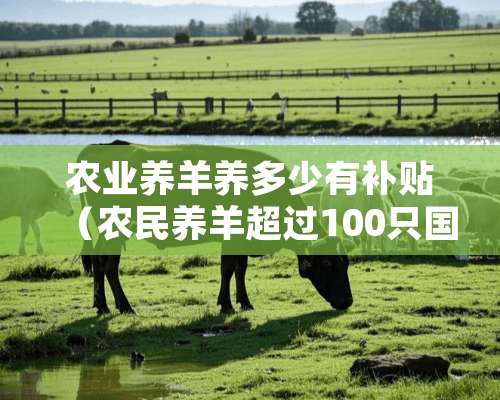 农业养羊养多少有补贴（农民养羊超过100只国家补助15万）