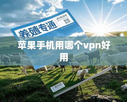 苹果手机用哪个vpn好用