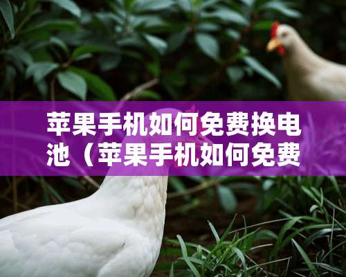 苹果手机如何免费换电池（苹果手机如何免费换电池视频教程）