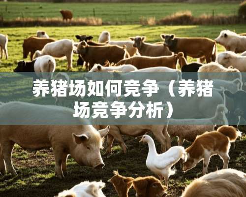 养猪场如何竞争（养猪场竞争分析）