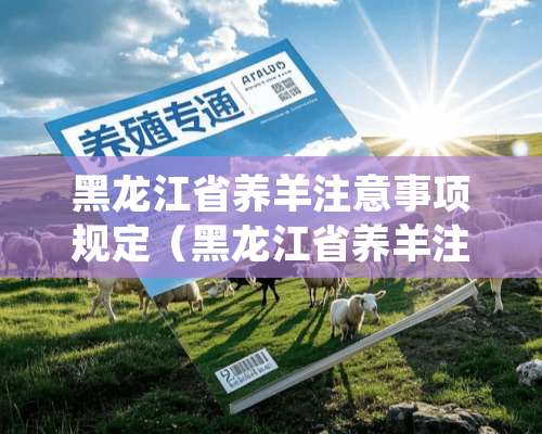 黑龙江省养羊注意事项规定（黑龙江省养羊注意事项规定最新）