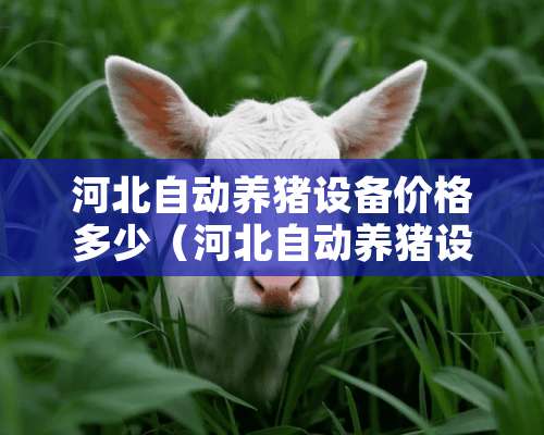 河北自动养猪设备价格多少（河北自动养猪设备价格多少钱一个月）