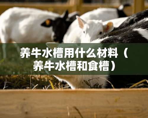 养牛水槽用什么材料（养牛水槽和食槽）