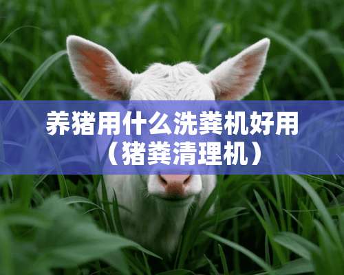 养猪用什么洗粪机好用（猪粪清理机）