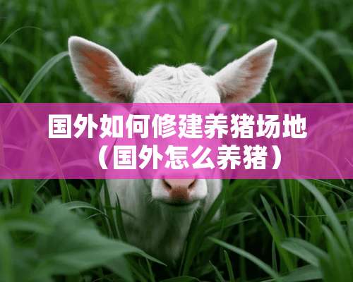 国外如何修建养猪场地（国外怎么养猪）