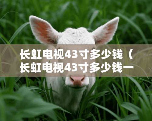 长虹电视43寸多少钱（长虹电视43寸多少钱一个）