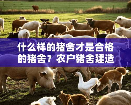 什么样的猪舍才是合格的猪舍？农户猪舍建造存在的问题与建议