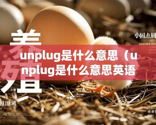 unplug是什么意思（unplug是什么意思英语）