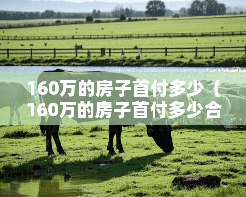 160万的房子首付多少（160万的房子首付多少合适）