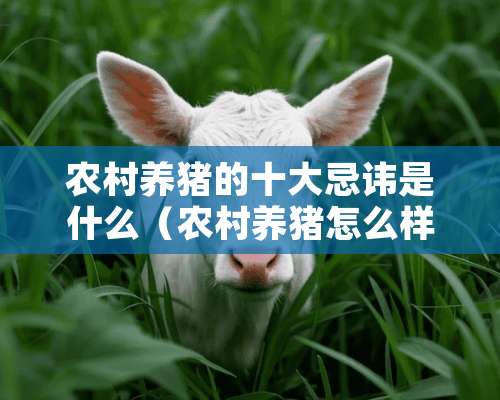 农村养猪的十大忌讳是什么（农村养猪怎么样?）