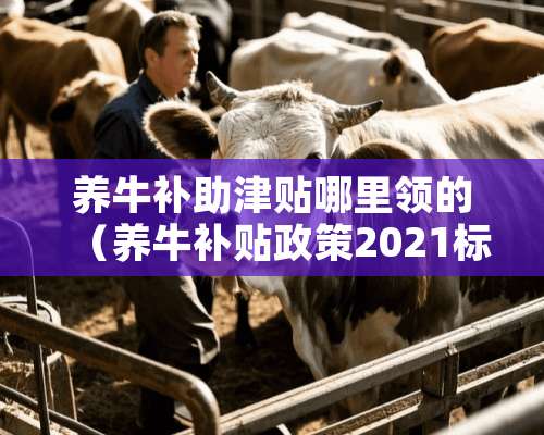 养牛补助津贴哪里领的（养牛补贴政策2021标准）