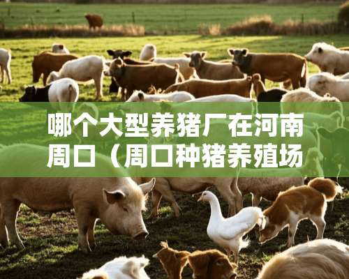 哪个大型养猪厂在河南周口（周口种猪养殖场）