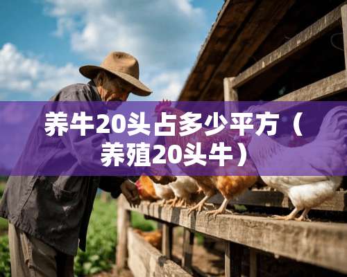 养牛20头占多少平方（养殖20头牛）