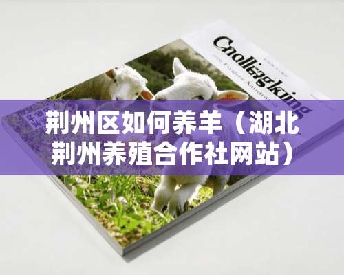 荆州区如何养羊（湖北荆州养殖合作社网站）