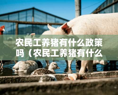 农民工养猪有什么政策吗（农民工养猪有什么政策吗现在）